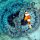 Wirts-Anemone mit Orangeflossen-Anemonenfisch